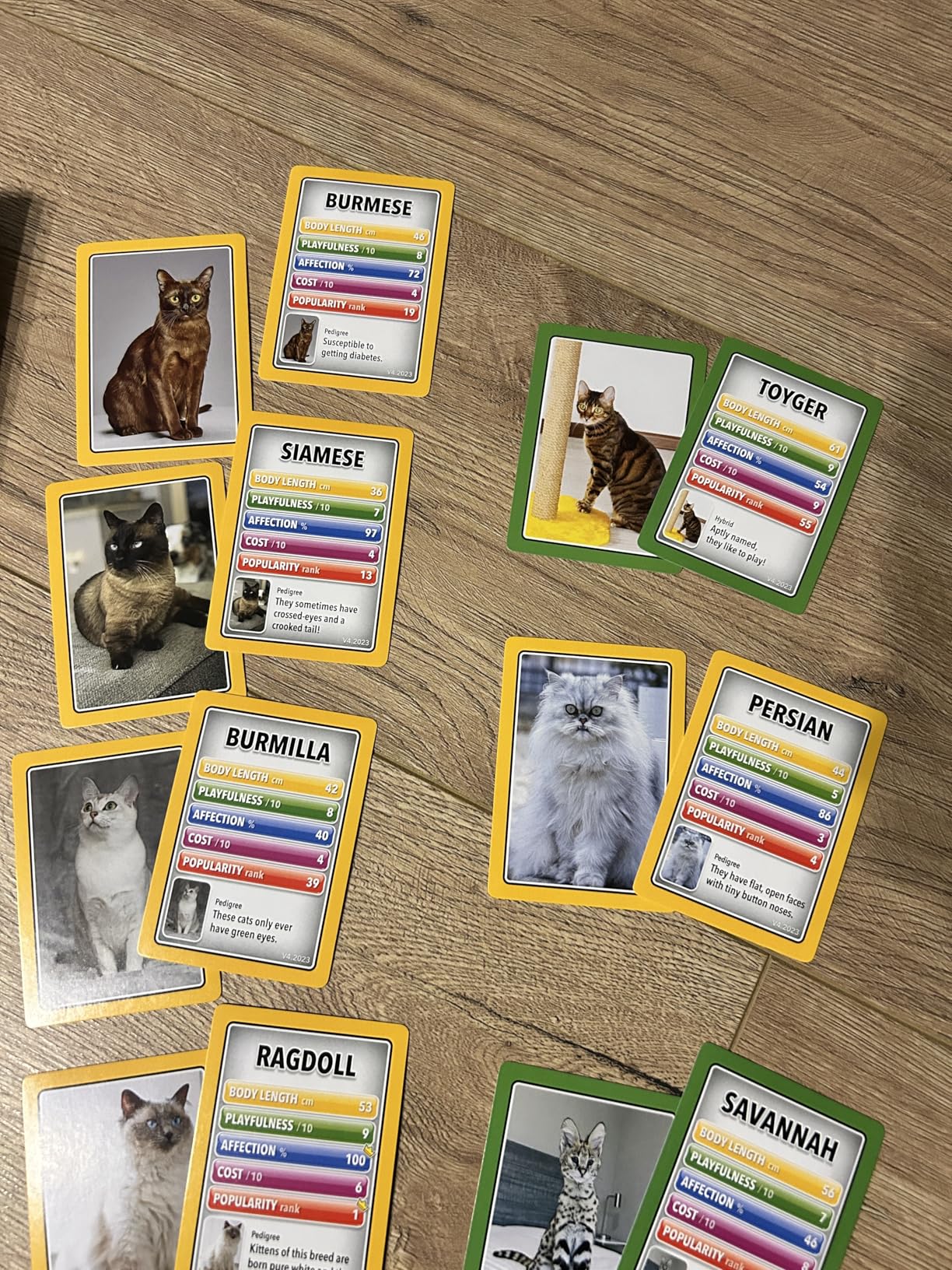 Cars Card Games - Matching Pairs, Snap, Trumps, Rummy, Happy Families (8 Games To Play) | Age 5+, 1-8 Players | Fun Family Travel Card Games customer photo 1