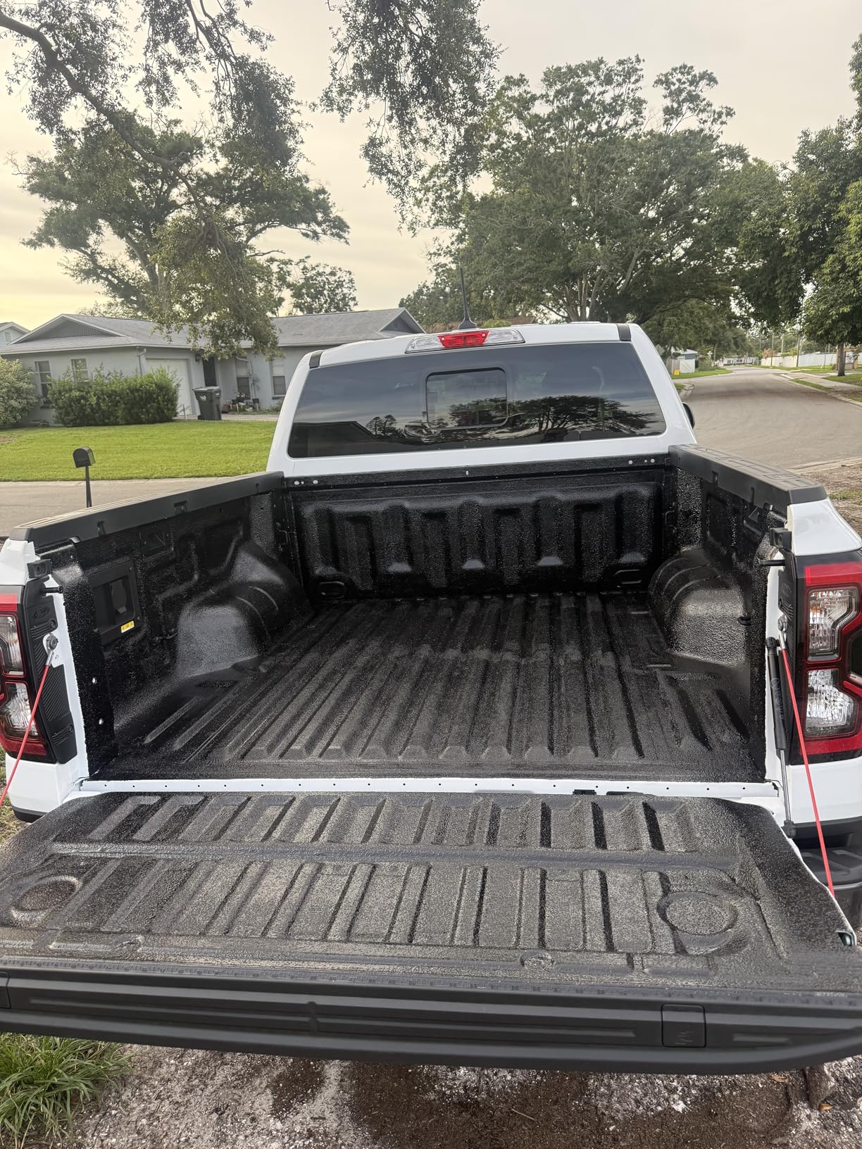 Custom Shop Texture Paint & Bedliner Roller Accessory Application Kit with Chip Brushes, Roller Frame, 2 Roller Covers, Tray & Liner customer photo 1