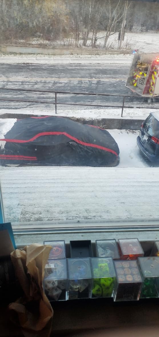 Hlogree 2PCS Car Cover Gust Straps Wind Protector, Bungee Cords Hook Clips Kit Hold Tarp Tie Down from Blowing Off in High Winds customer photo 1