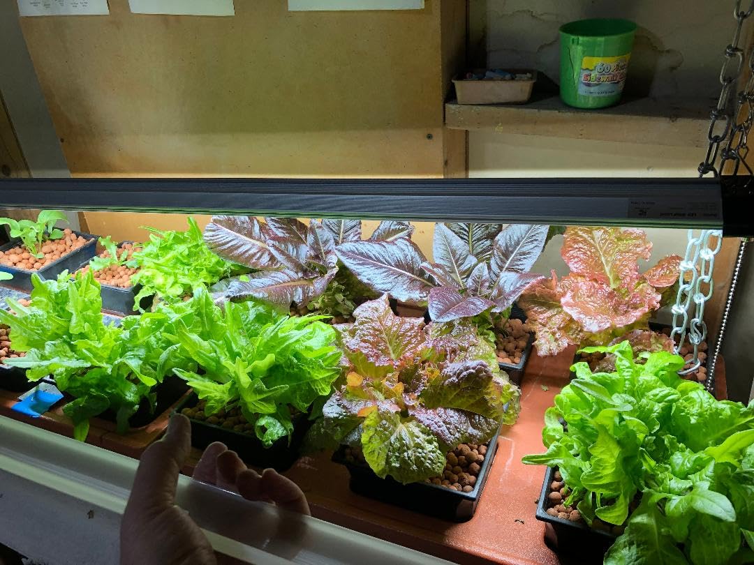 Barrina BS84 LED Shop Light for Garage, 10000LM, 84W, 4FT, 5000K Linkable Light Fixture for Workshop, Basement customer photo 1