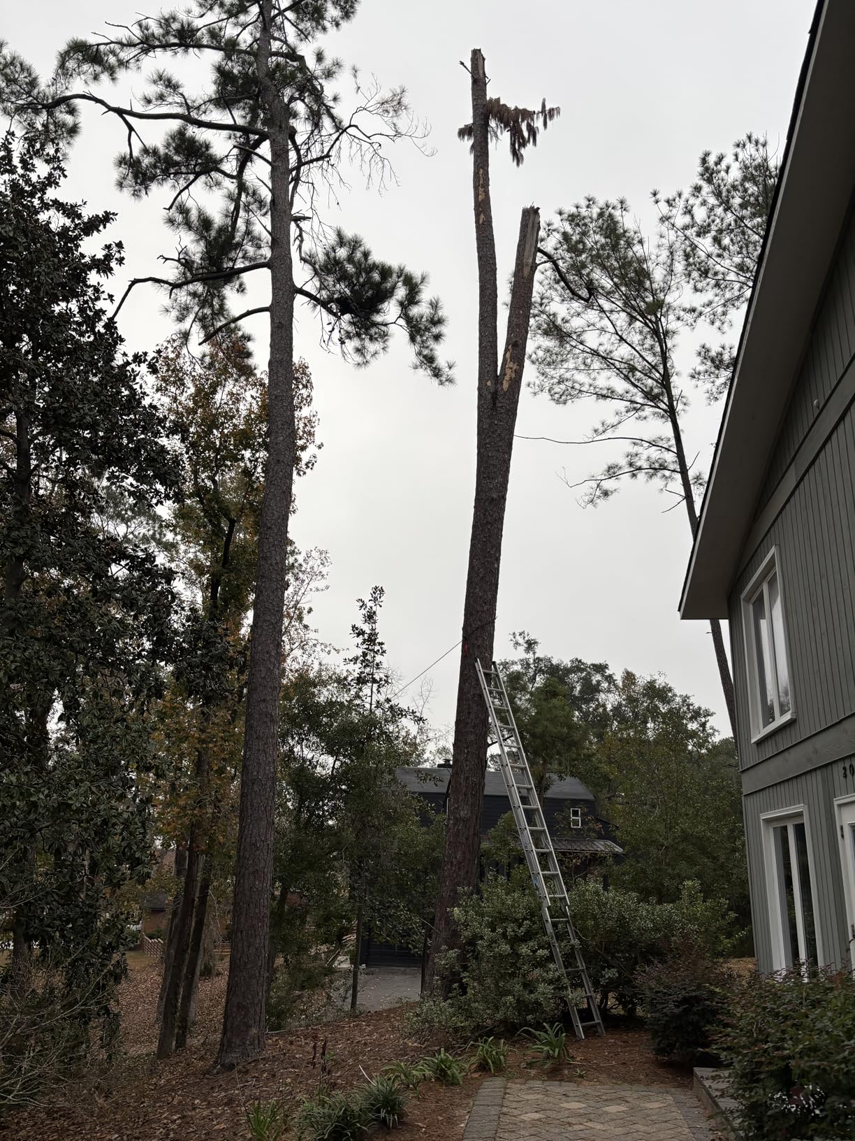 TYT Synthetic Winch Rope Kit - 1/4'' x 50' with 10000 lbs Strength, Protective Sleeve, Heavy Duty Hook, Rubber Stopper, & Safety Pull Strap for Off-Road 4x4 Vehicles (Green) customer photo 1