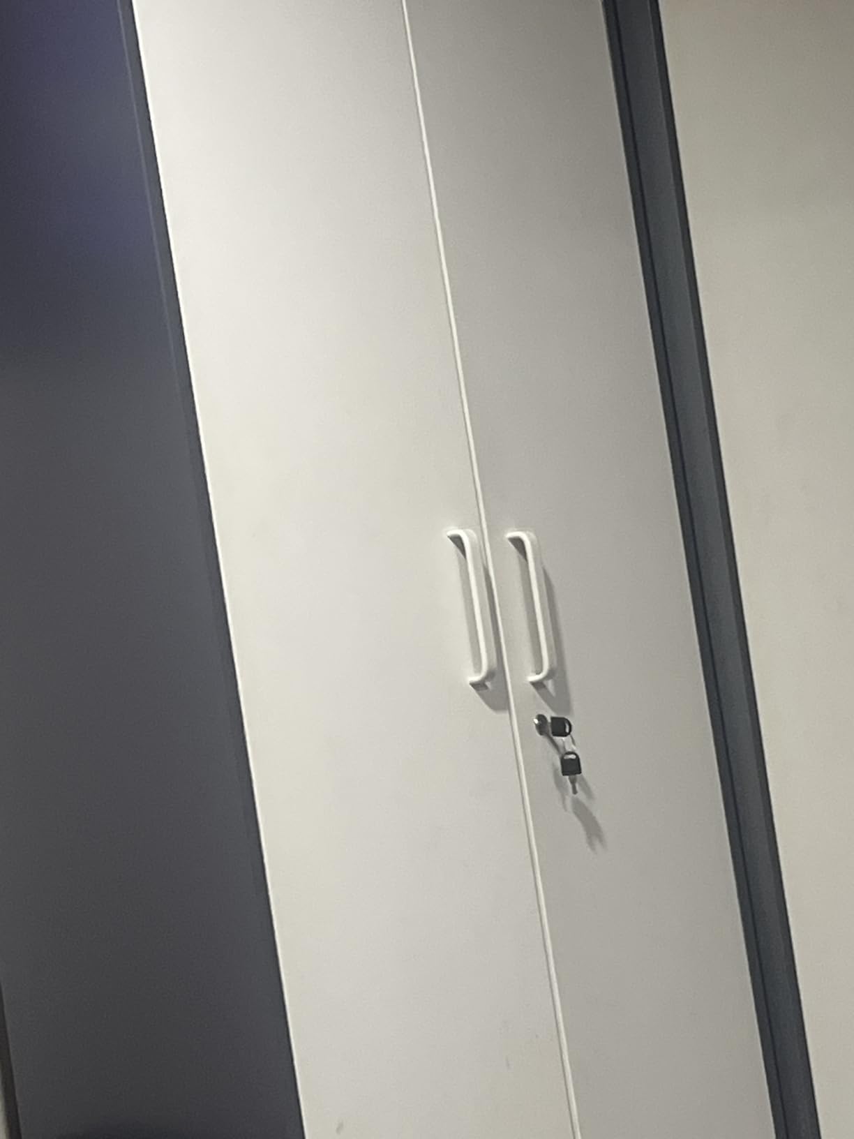 Yizosh Metal Storage Cabinet with Lock - 72