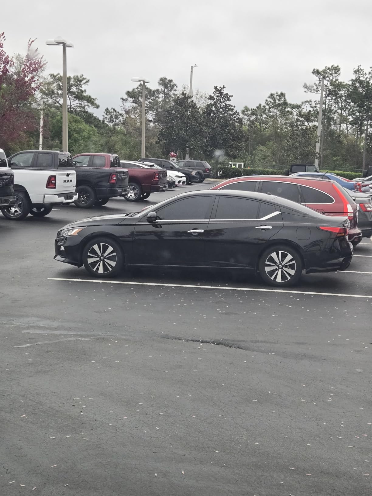 Rear Trunk Spoiler Wing Fit for Nissan Altima 2019 2020 2021 2022 2023 2024 2025 S/SR/SV/SL, Rear Trunk Lid Duckbill Spoiler ABS Material Painted Glossy Black customer photo 1