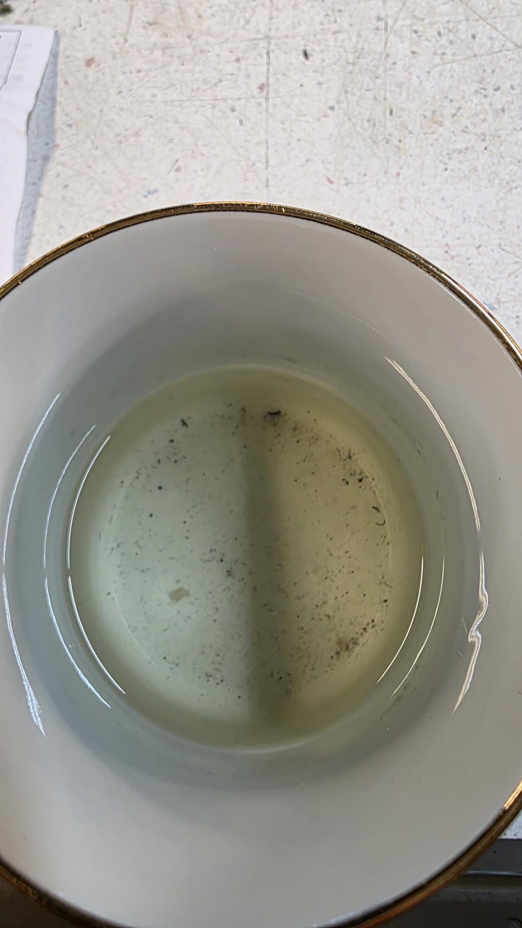 Mini HVLP Touch Up Spray Gun with 1 mm Nozzle, 125 cc Cup Gravity Feed Air Paint Sprayer Spot Repair, Spray Paint Gun for Car Furniture Painting, Auto Primer, Wall Painting (1.0) customer photo 2