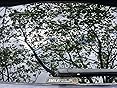 8PCS Smile You're On Camera Sticker for Car, Self Adhesive Waterproof Durable Video Surveillance Sign Sticker, Security Camera Sign for Home, Business, Cars and Window (5