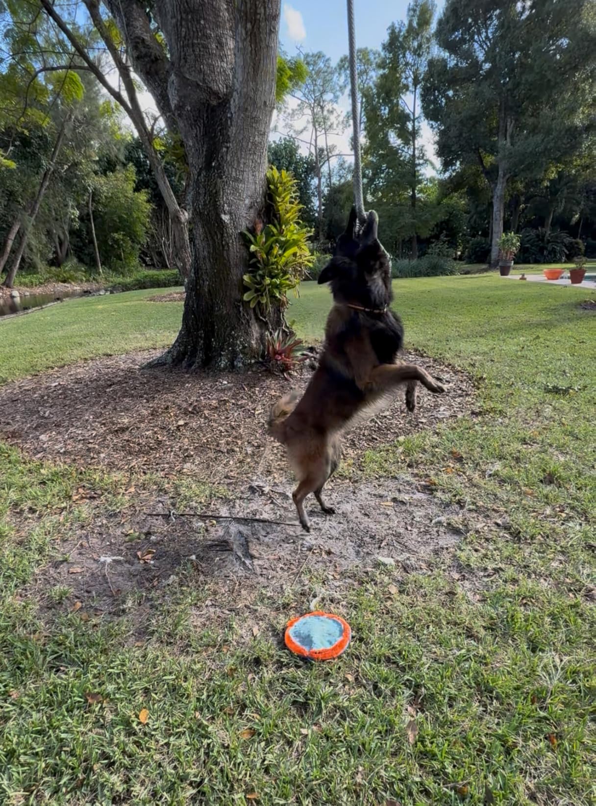 Heavy-Duty Kinetic Recovery Rope Kit - 56,000lbs, 1.26in x 30ft - Includes 2 Ultra-Strong UHMWPE Soft Shackles - 35%+ Elasticity for Off-Road Recovery, Towing & Emergency Use (Reflective) customer photo 2