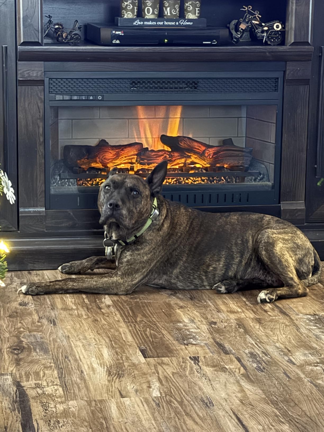 Personalized Custom Vanity License Plate for Cars & Trucks - Decorative Novelty Auto Accessory for Garage, Bar, or Home Display customer photo 2