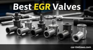Best EGR Valves