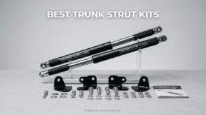Best Trunk Strut Kits