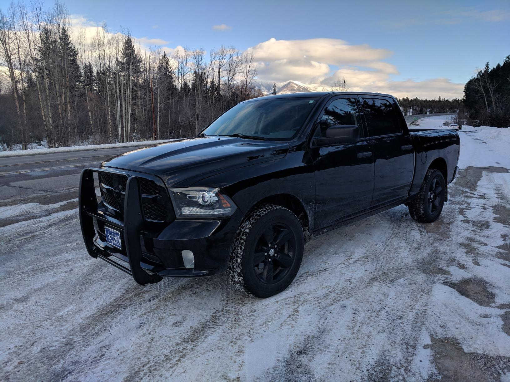 BLACK HORSE Grille Guard 17DG109MA - 2009-2018 Black Dodge Ram 1500/2019-2020 RAM 1500 Classic customer photo 2