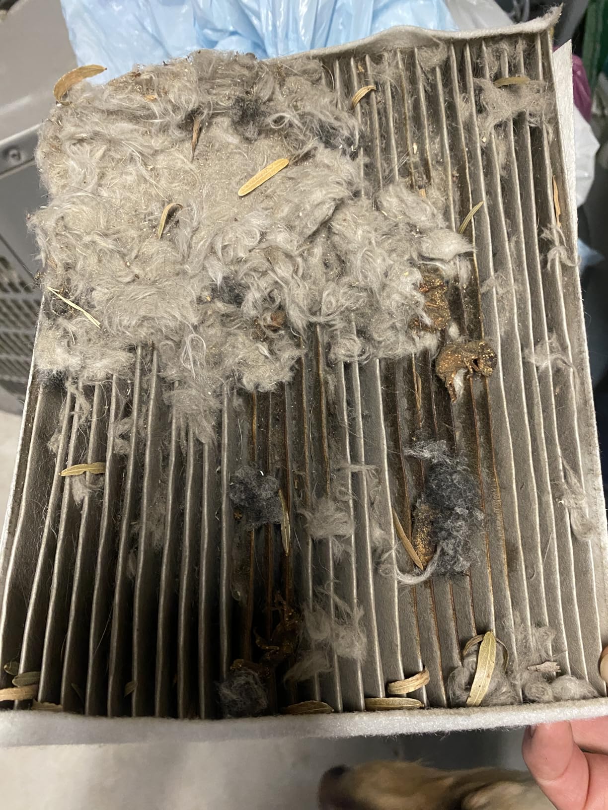 BOSCH 6081C HEPA Cabin Air Filter - Compatible with Select Ford Expedition, F-150, F-150 Lightning, F-250, F-350, F-450, F-550 Super Duty; Lincoln Navigator customer photo 1