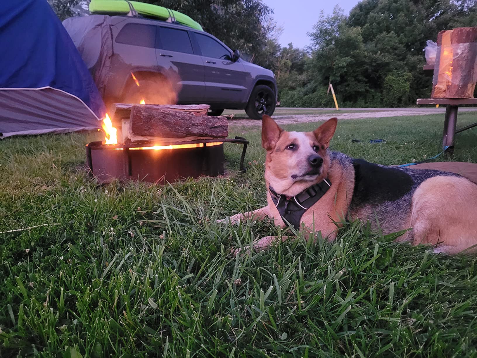 WOOWAVE Canoe Carrier Deluxe Carrier Kit Universal Soft Standard Foam Block for Roof Racks Car-Top Replacement with Tie-Downs, 6 inches customer photo 1