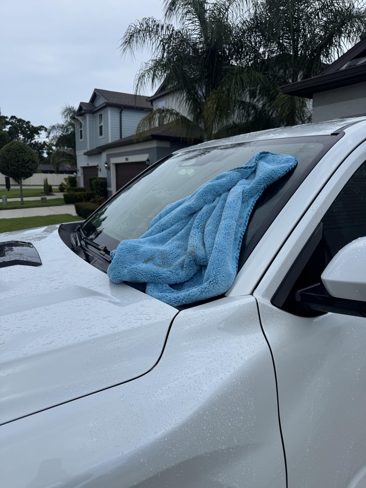 Chemical Guys Woolly Mammoth Large Microfiber Drying Towel - 36 x 25 Inch Gray, Ultra Plush Super Absorbent Car Drying Towel for Cars, Trucks, SUVs, Motorcycles, RVs, and Auto Detailing customer photo 2