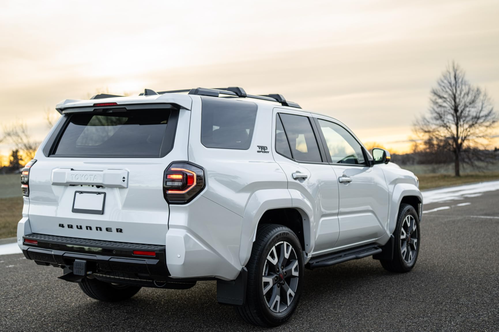 IRONBISON Running Boards Fit 2010-2024 Toyota 4Runner, Heavy Duty 4Runner Side Steps Steel Nerf Bars Step Rails Heavy Texture Black customer photo 1