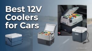 Best 12V Coolers for Cars