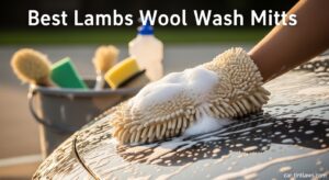 Best Lambs Wool Wash Mitts