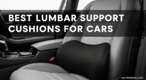 Best Lumbar Support Cushions for Cars