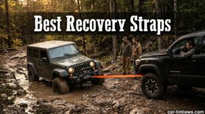 Best Recovery Straps