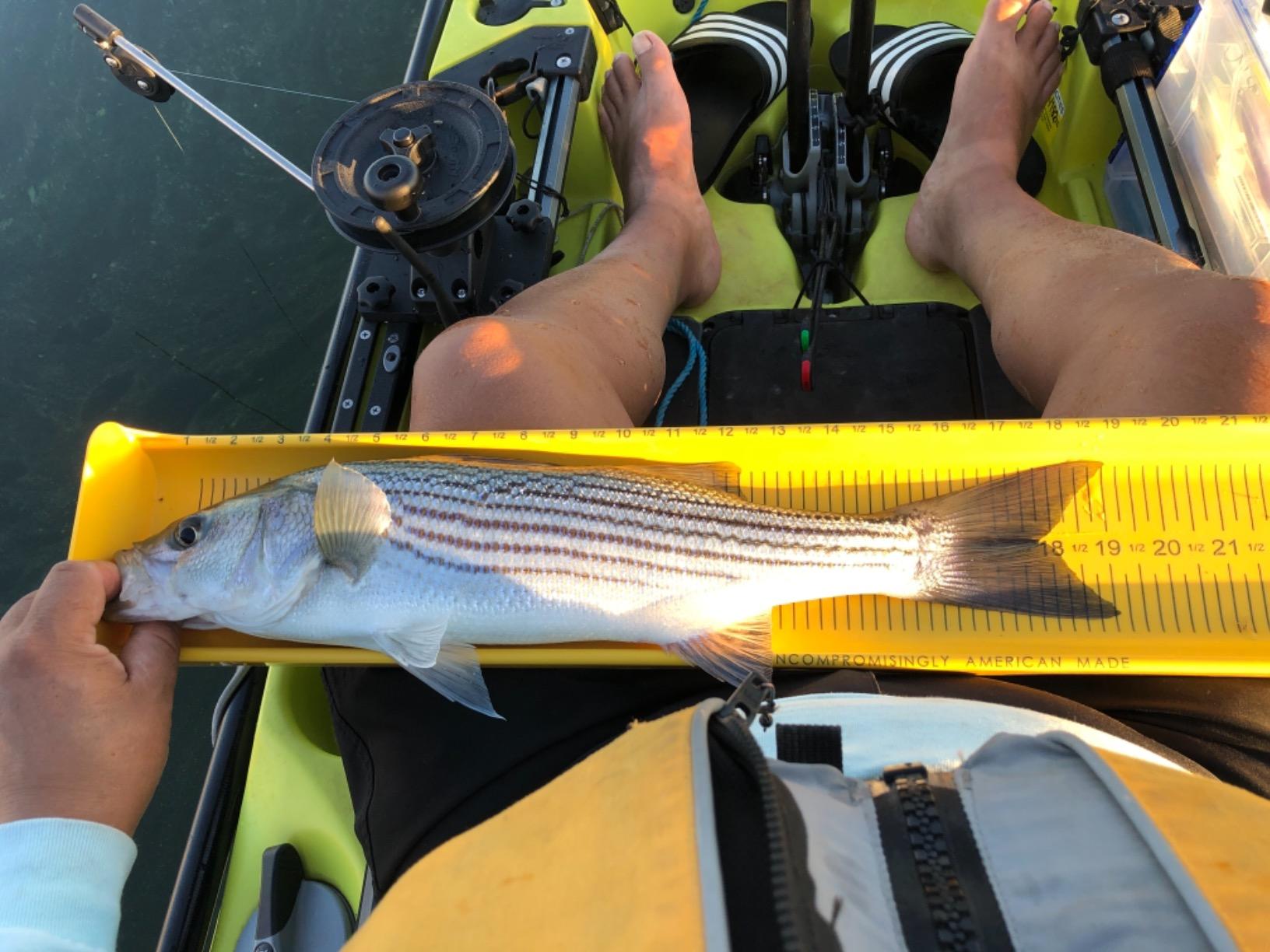 Scotty #1073DP Laketroller Manual Downrigger, Post Mount customer photo 2