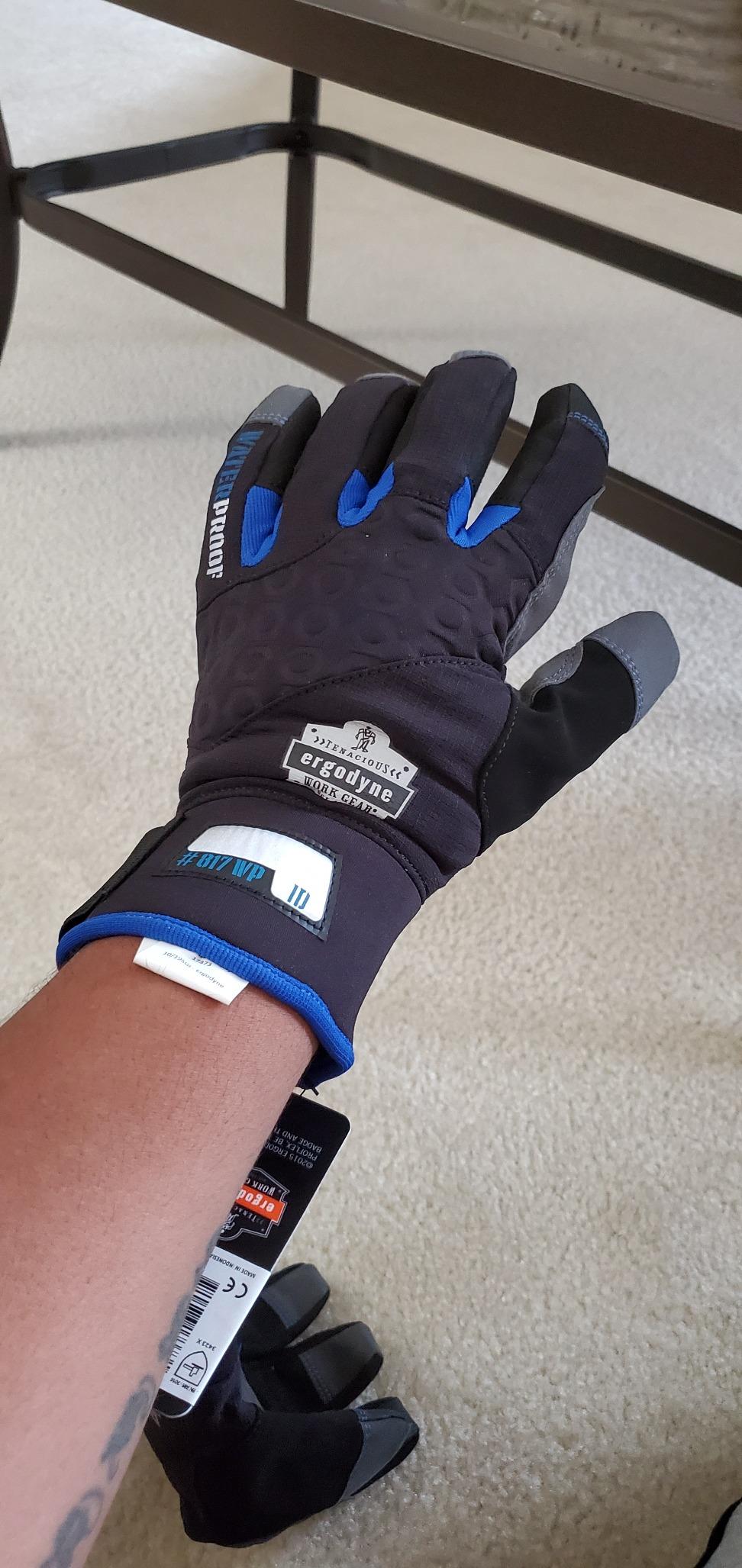 Ergodyne ProFlex 817WP Waterproof Work Gloves, Thermal Insulated, Touchscreen, Reinforced Palms Black, Medium customer photo 2