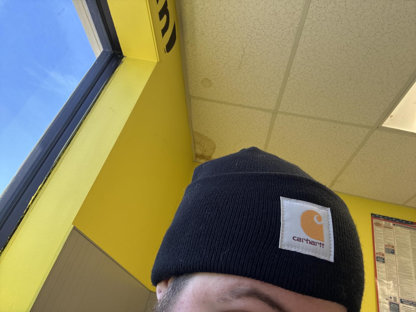Carhartt Men's Iconic A18 Watch Cap Beanie customer photo 2
