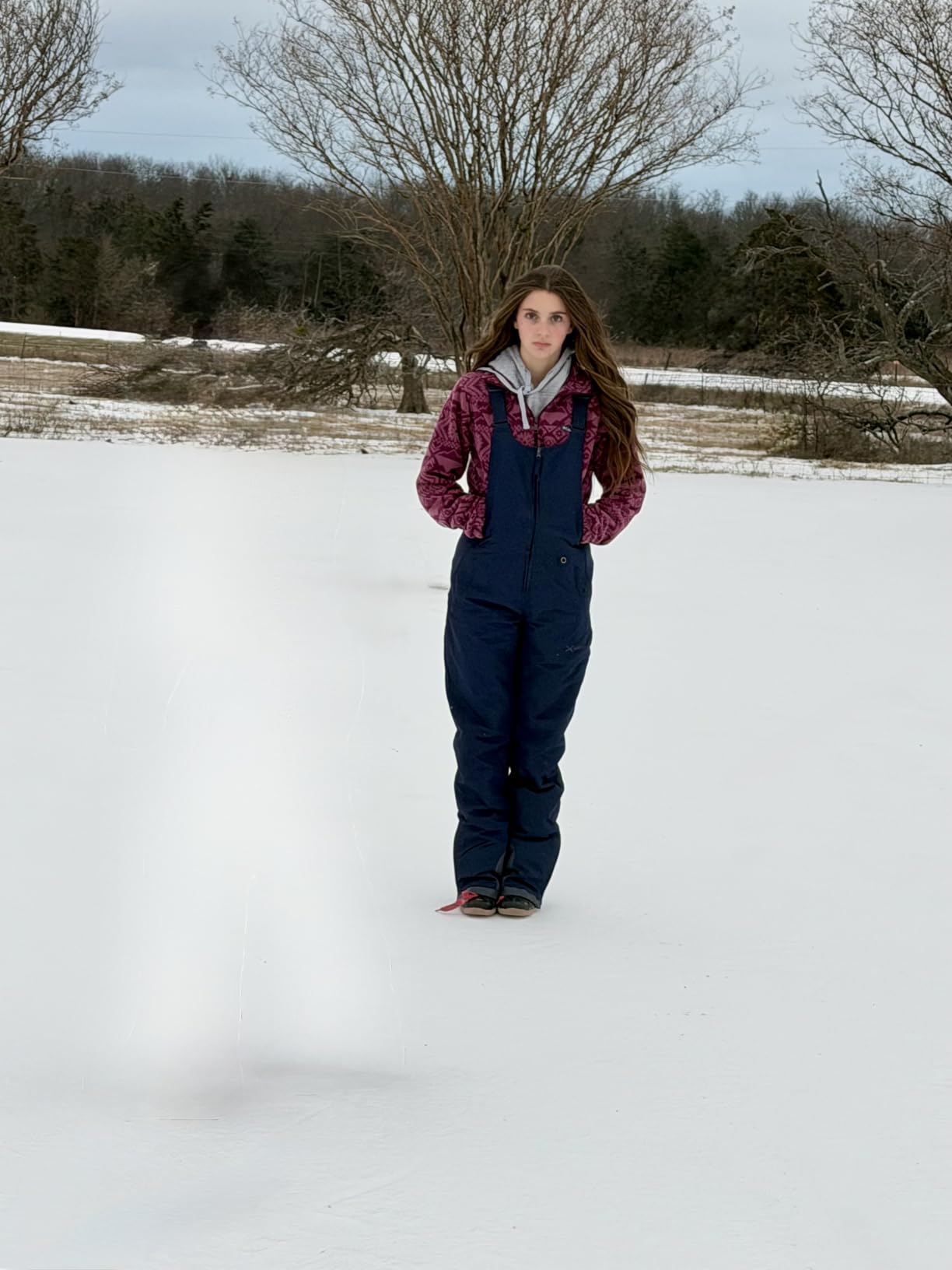 Arctix Women's Essential Insulated Ski Bibs, Water Resistant Snow Pants for Skiing & Snowboarding customer photo 1