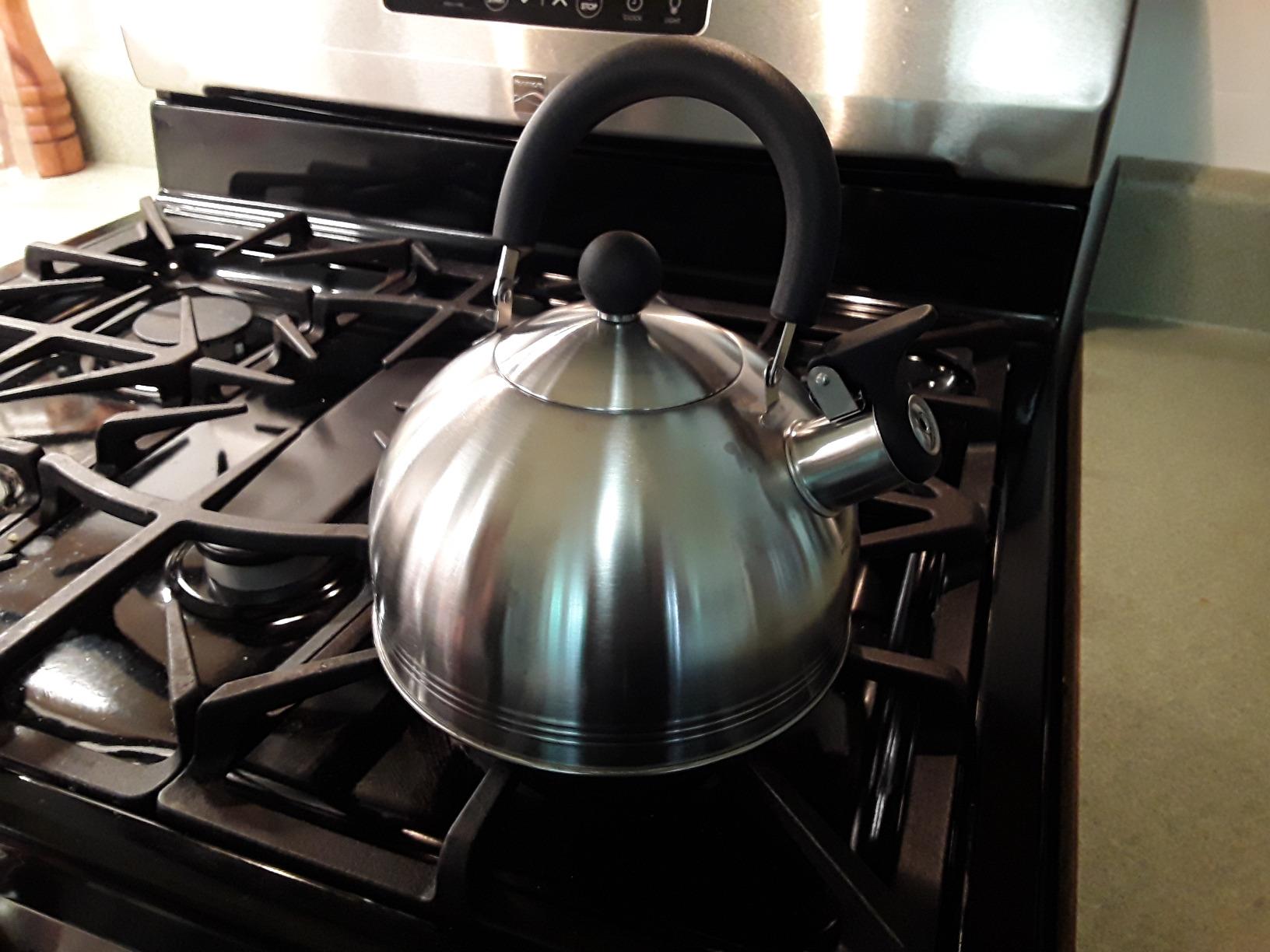 Mr. Coffee Carterton Stainless Steel Whistling Tea Kettle, 1.5-Quart, Mirror Polish Finish, Durable Stovetop Fast Boiling Kettle customer photo 2
