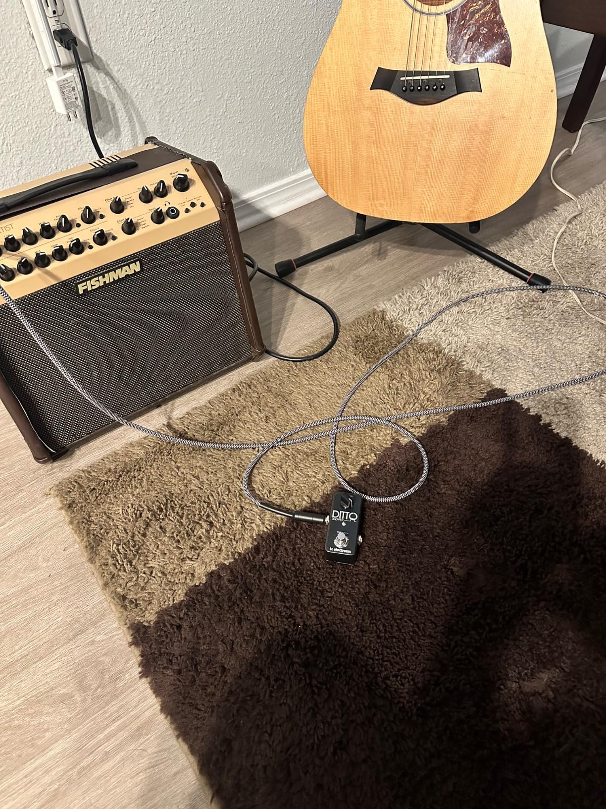 TC Electronic DITTO X2 LOOPER Highly Intuitive Looper Pedal with Dedicated Stop Button and Loop Effects customer photo 2