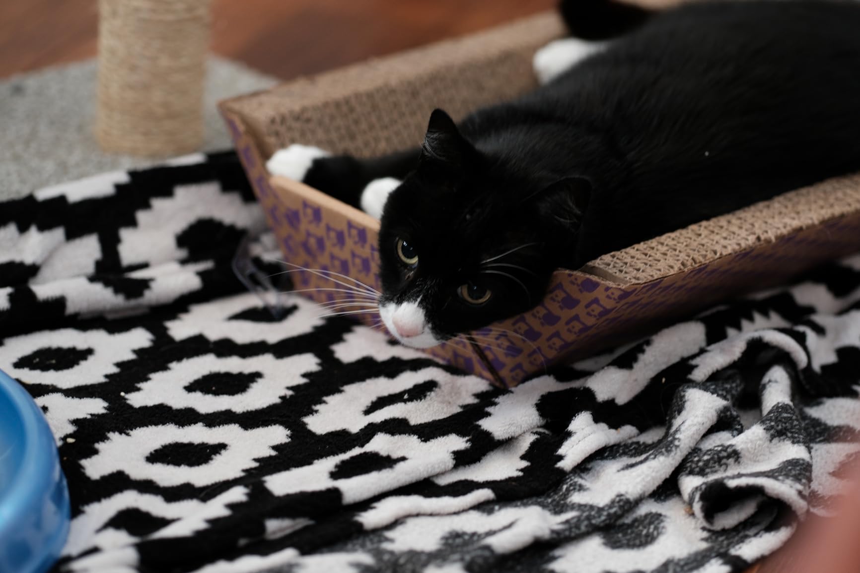 FUJIFILM XF90mmF2 R LM WR Lens customer photo 1