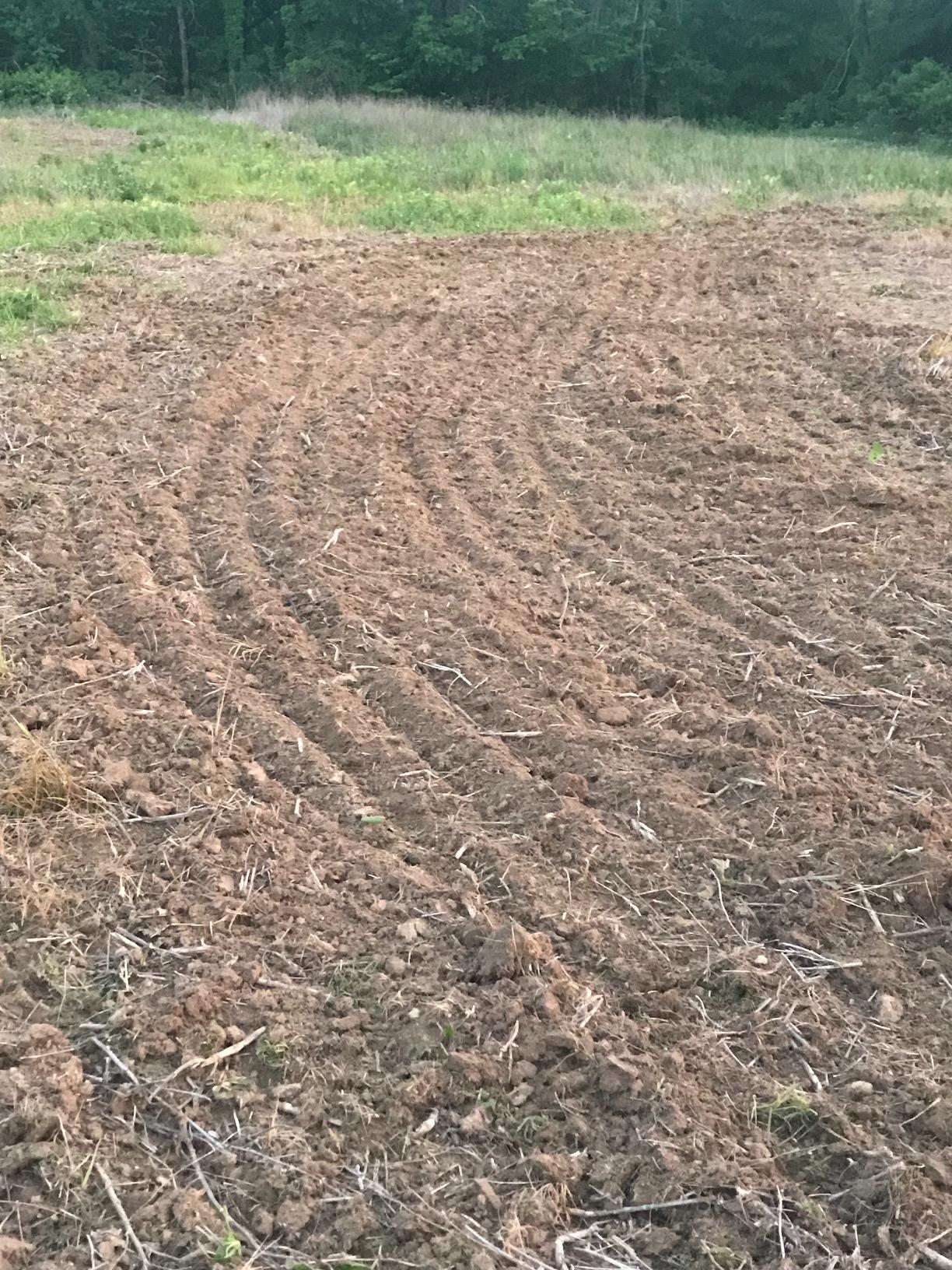 IMPACT IMPLEMENTS Disc Plow Harrow with Weight Tray for ATV/UTV/Garden Tractors. Prep Soil, Cut Weeds & Clear Crop Remains. customer photo 1