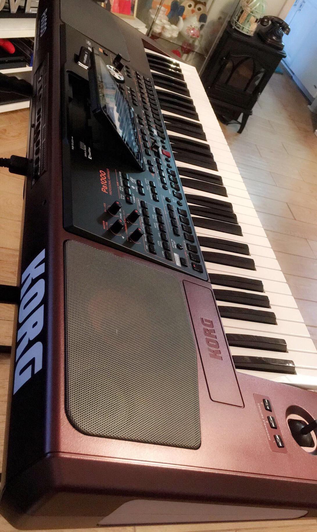 Korg Pa1000 61-Key Professional Arranger customer photo 1