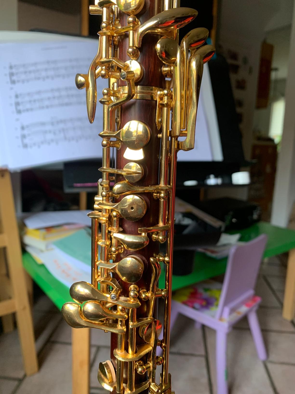 Yinfente Professional Oboe Gold Plated Rosewood C Key Left F Resonance Semi-Automatic Woodwind Instrument With Oboe Accessories customer photo 1
