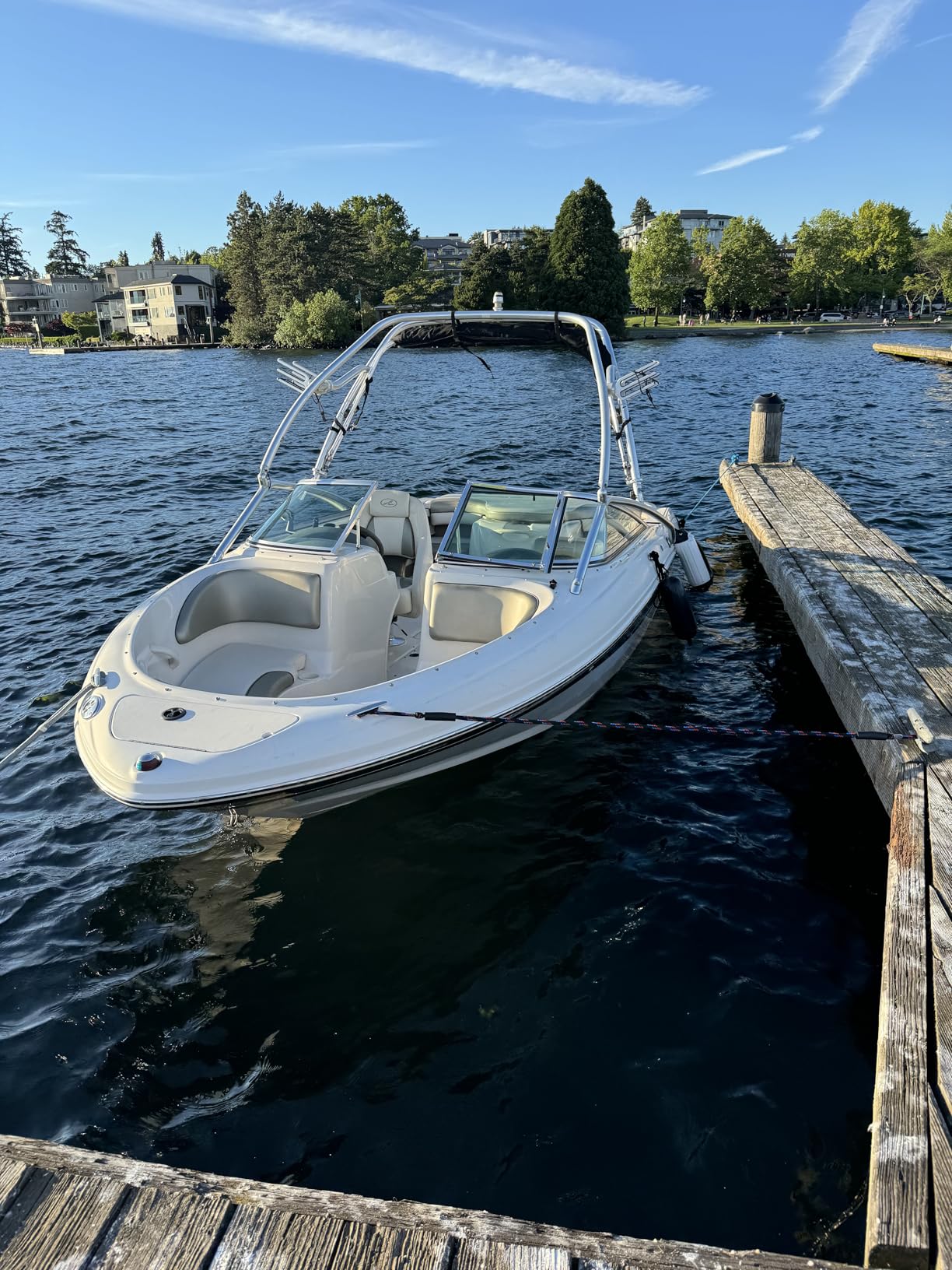 Bungee Dock Lines for Boats, Quick Connect No Knots, Shock Absorbing Mooring Lines, Boat Accessories for Pontoon, Bass Boat, Jet Ski customer photo 2