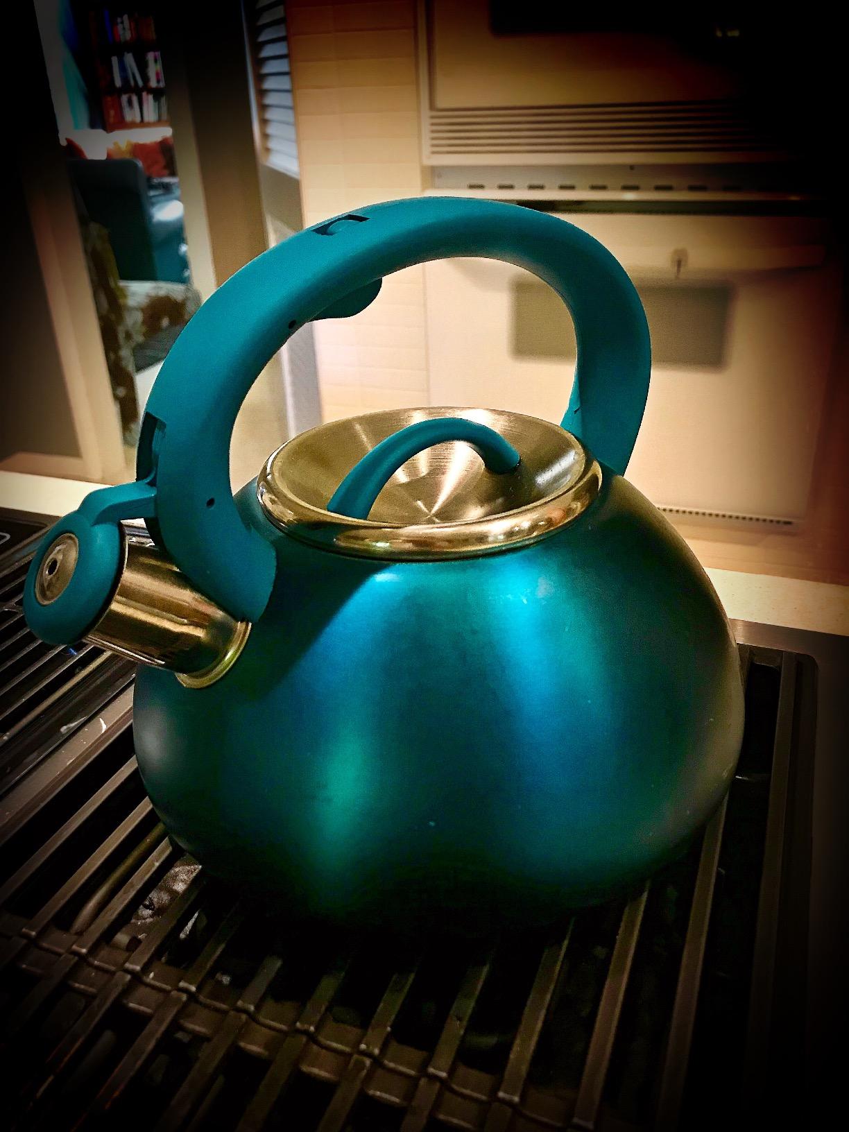 Primula Avalon Whistling Stovetop Tea Kettle, Food Grade Stainless Steel Wide Mouth, Fast to Boil, Cool Touch Handle, 2.5-Quart, Gunmetal Grey and Wood-Look customer photo 1
