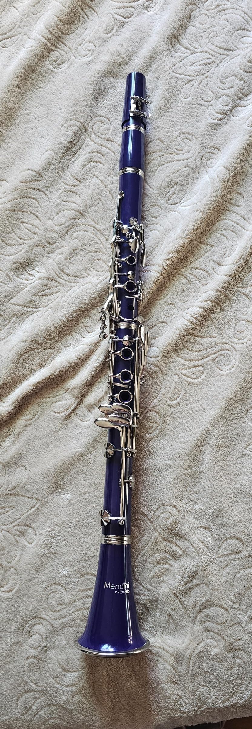 Mendini by Cecilio B Flat Clarinet for Beginner, Ebonite Bb Clarinet with 2 Replaceable Barrels, 10 Reeds, Stand, Pocketbook, Mouthpiece, Hard Case, Gloves (Black) customer photo 1