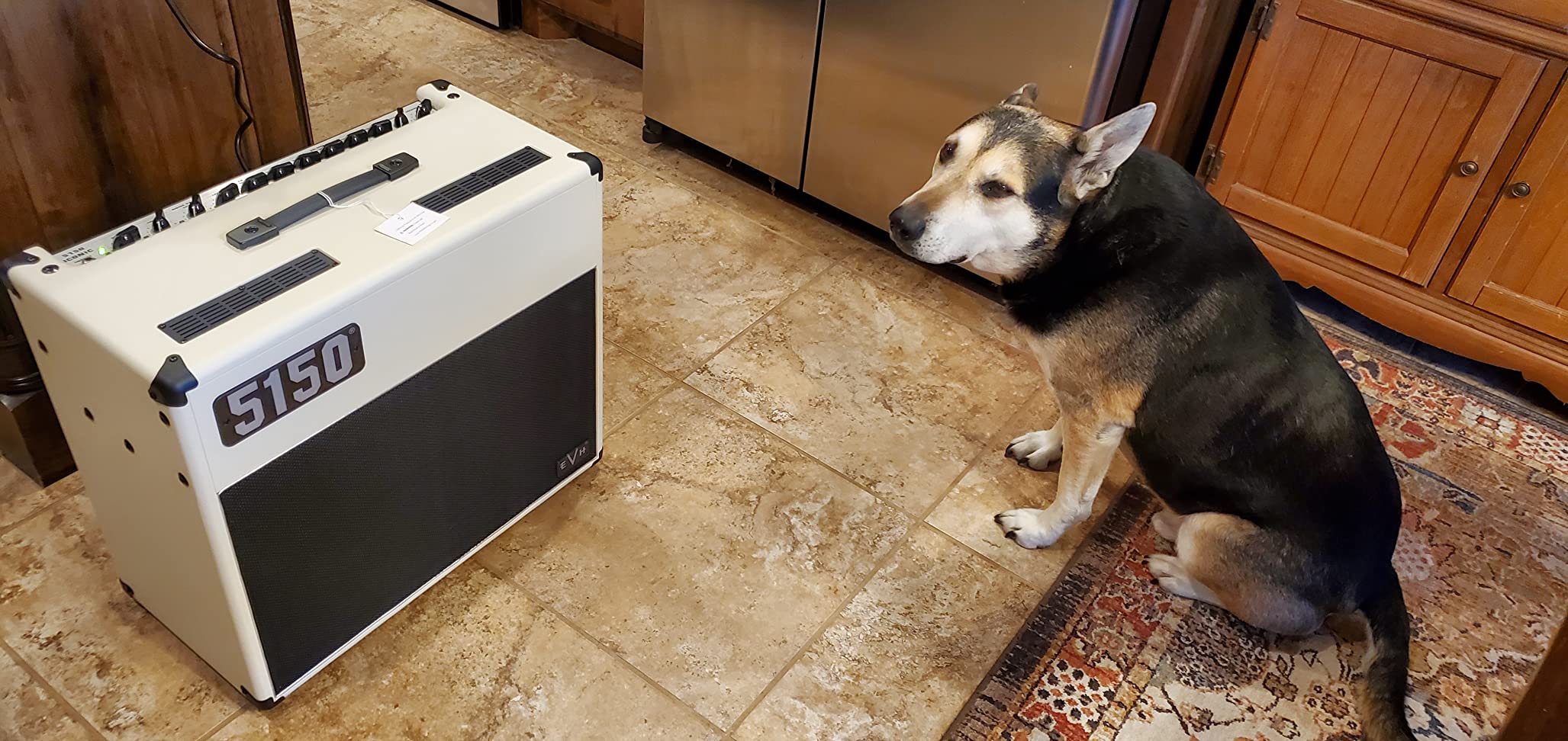 EVH 5150 ICONIC 40W Guitar Combo Tube Amplifier customer photo 1