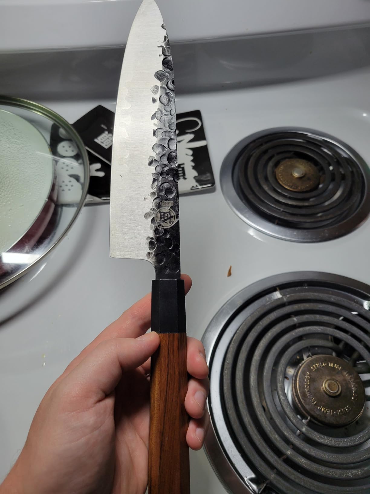 MITSUMOTO SAKARI 8-Inch Japanese Gyuto Chef Knife, 3-Layer 9Cr18MoV | San-Mai High Carbon Stainless Steel, Hand-Forged Finish, Octagonal Rosewood Handle, Sandalwood Box customer photo 2