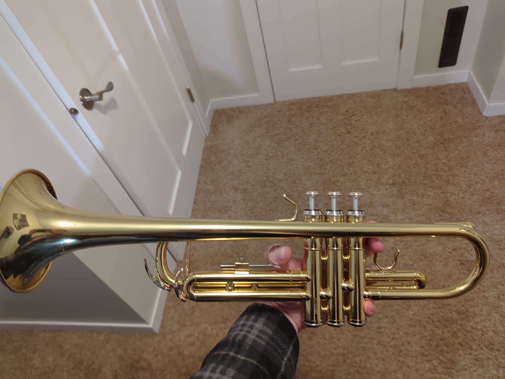 Trumpet Instrument, Band & Orchestra Musical Instruments for Beginners, With trumpets case, Mouthpiece, Cloth and Gloves (Golden) customer photo 2