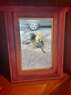 Skylight Digital Picture Frame: 15 Inch WiFi Enabled with Load from Phone Capability, Touch Screen Digital Photo Frame Display - Customizable Gift for Friends and Family - Black customer photo 2