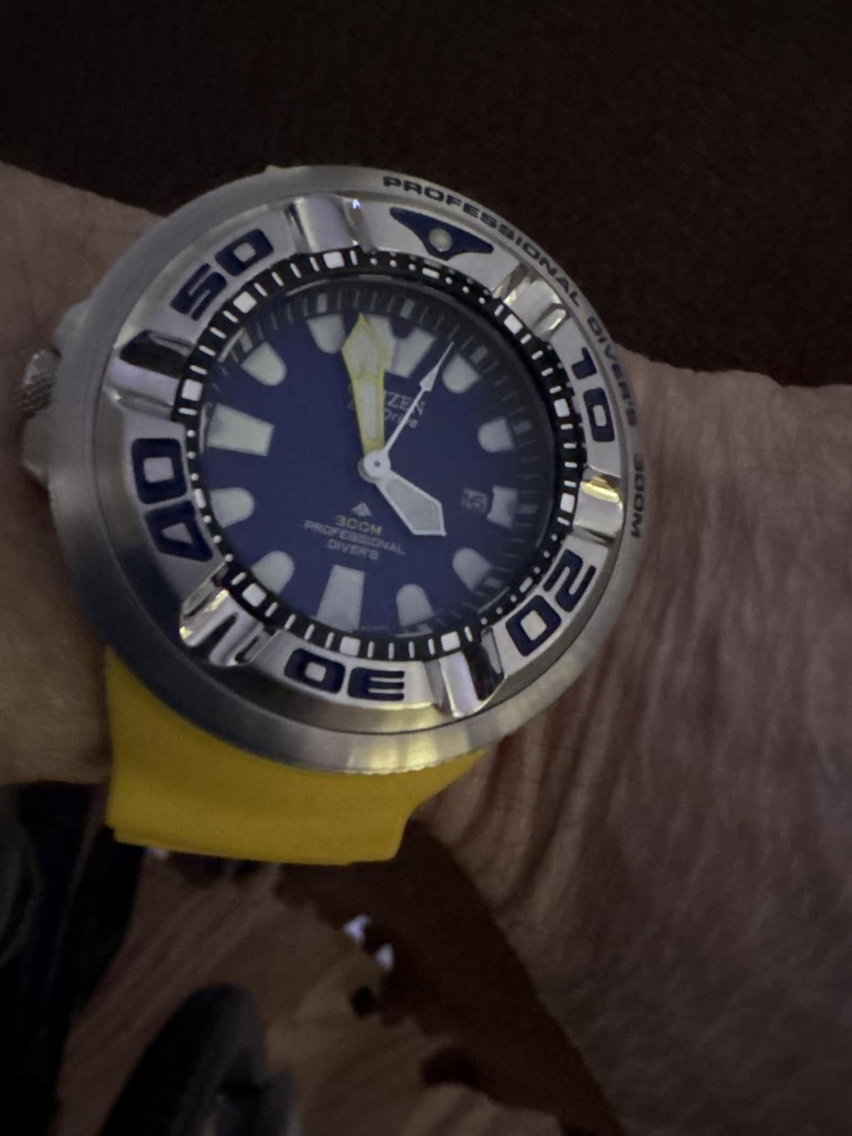 Citizen Men's Promaster Dive Eco-Drive Watch, Polyurethane Strap, ISO Certified customer photo 1