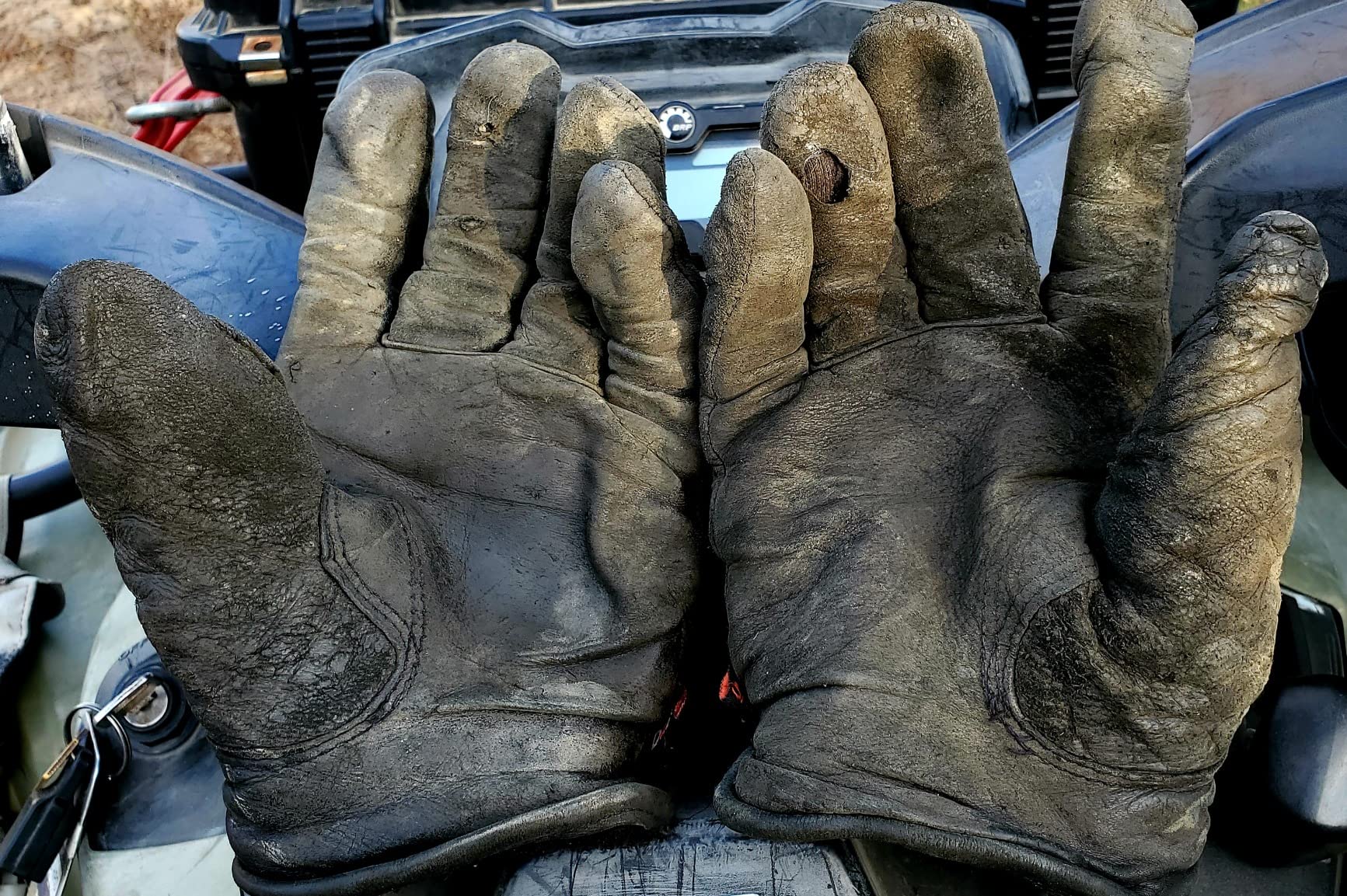 Full Deerskin Leather Winter Drive Work Gloves, Extra Soft 100G 3M Thinsulate, Thermal Insulated Gloves (SD2211T) customer photo 2