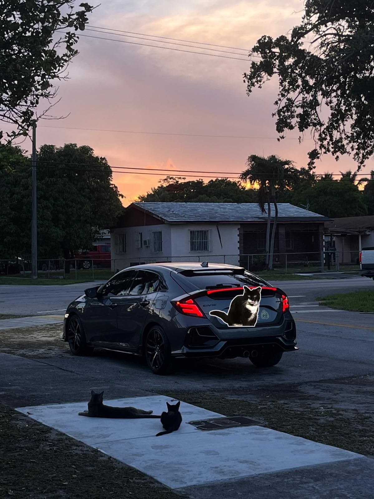 AUTOXBERT LED Side Marker Lights for Honda Civic 10th Sport Si 2016-2021 Civic Coupe Sedan Hatchback Front Turn Signals Sequential Amber & White (Smoked Lens) customer photo 1