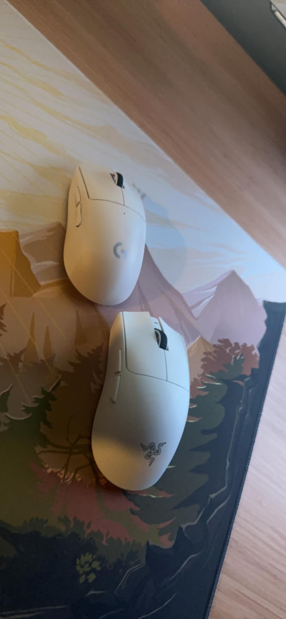 Razer Viper V3 Pro Wireless Esports Gaming Mouse: Symmetrical - 54g Lightweight - 8K Polling - 35K DPI Optical Sensor - Gen3 Optical Switches - 8 Programmable Buttons - 95 Hr Battery - Black customer photo 1