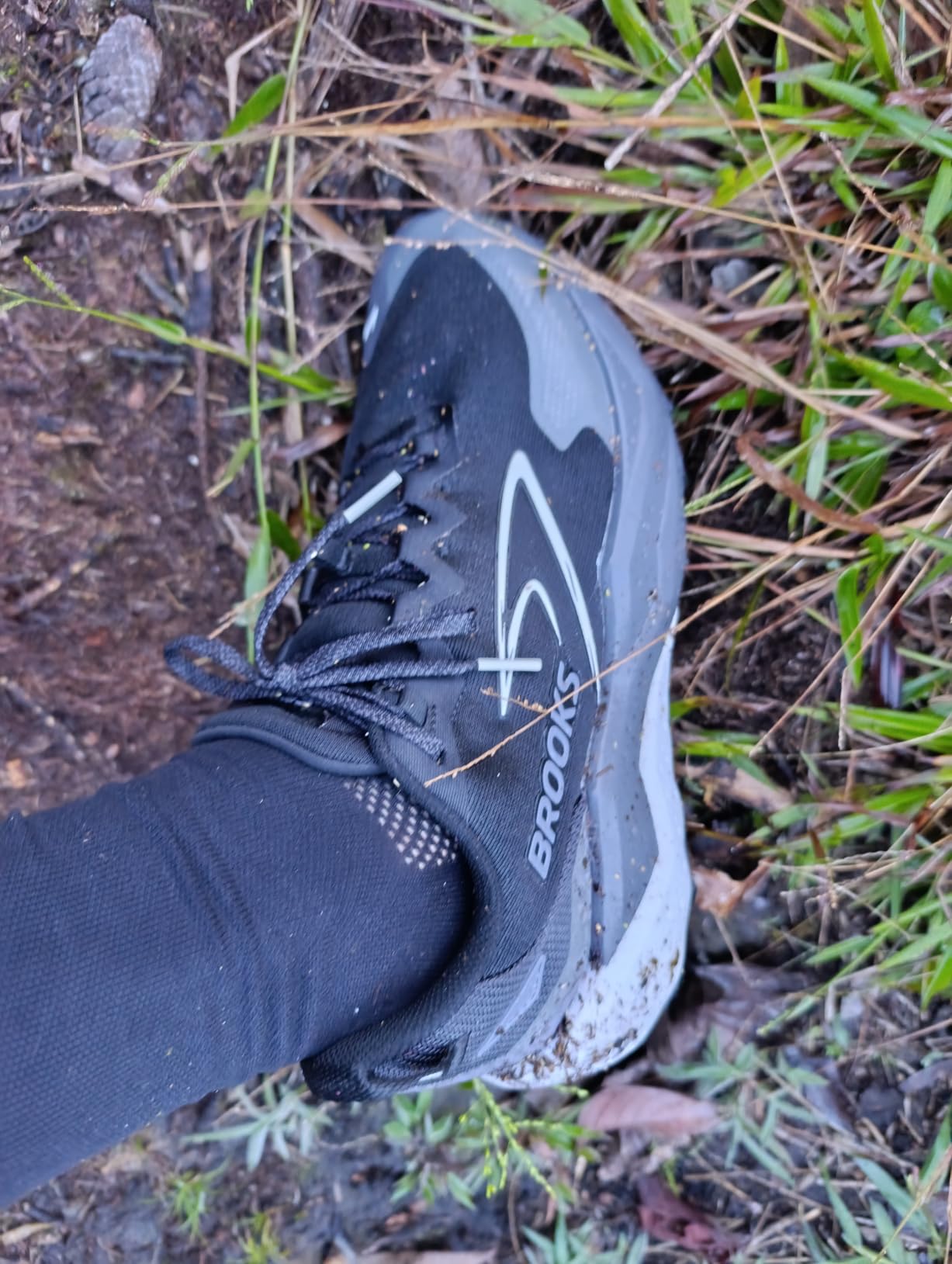 Brooks Men's Caldera 8 Ultra Trail Running Shoe customer photo 2