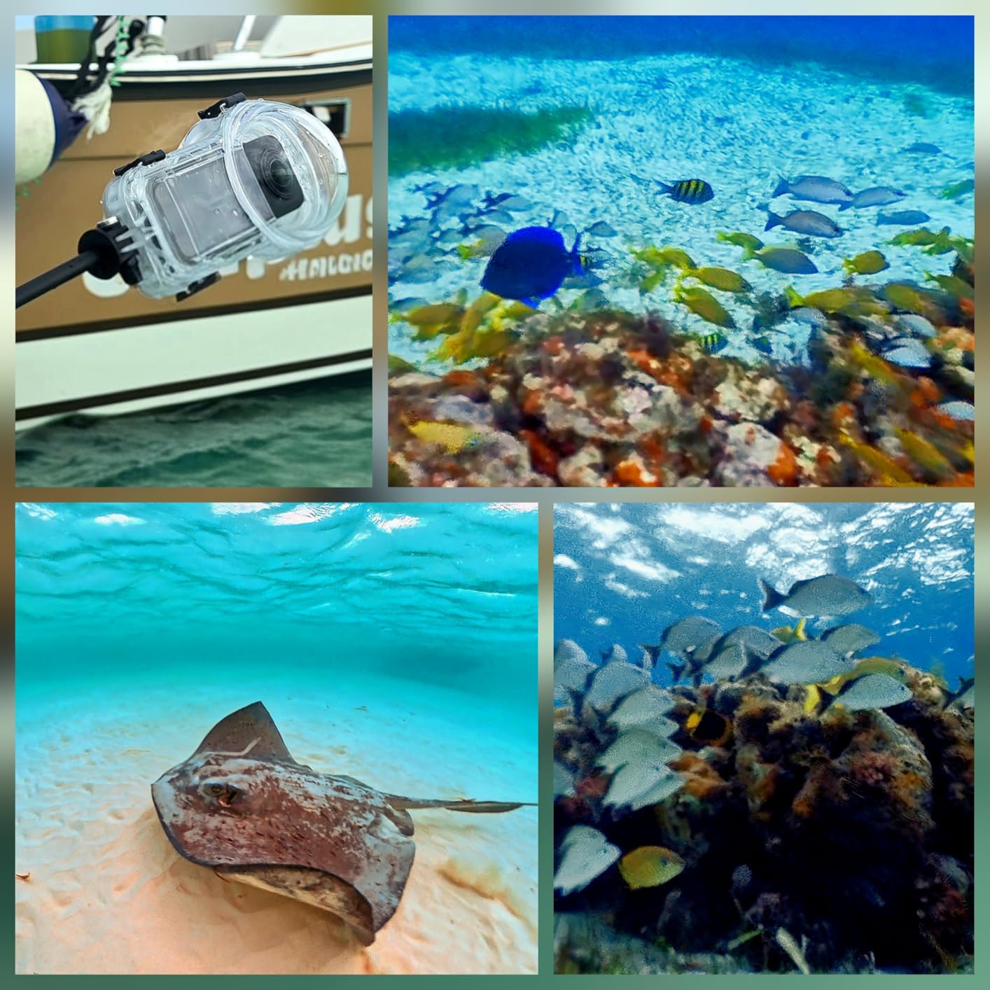 Insta360 X5 Invisible Dive Case customer photo 1