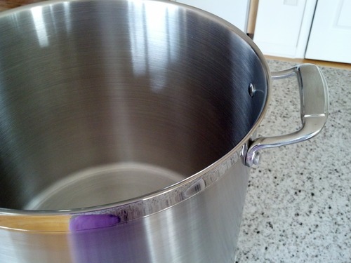 Tramontina Gourmet Stainless Steel 8-Quart Stock Pot with Lid customer photo 1