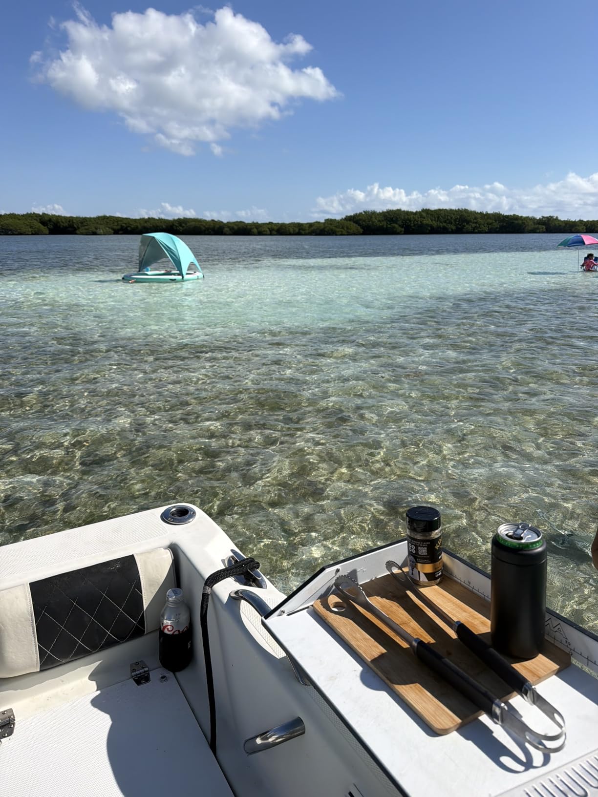 VEVOR Inflatable Floating Dock, Inflatable Dock Platform, Non-Slip Water Air Mat with Portable Carrying Bag and Detachable Ladder, Floating Water Platform Island Raft for Pool Beach Ocean customer photo 1