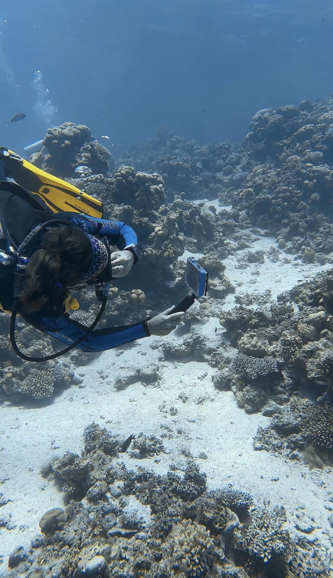 ProShot Dive 2.0 - Waterproof iPhone Housing, Rated to 130 ft, Compatible with All iPhones, Underwater Camera Case for Diving and Snorkeling (Fits All iPhones Including 17 Pro & 17 Pro Max) customer photo 1