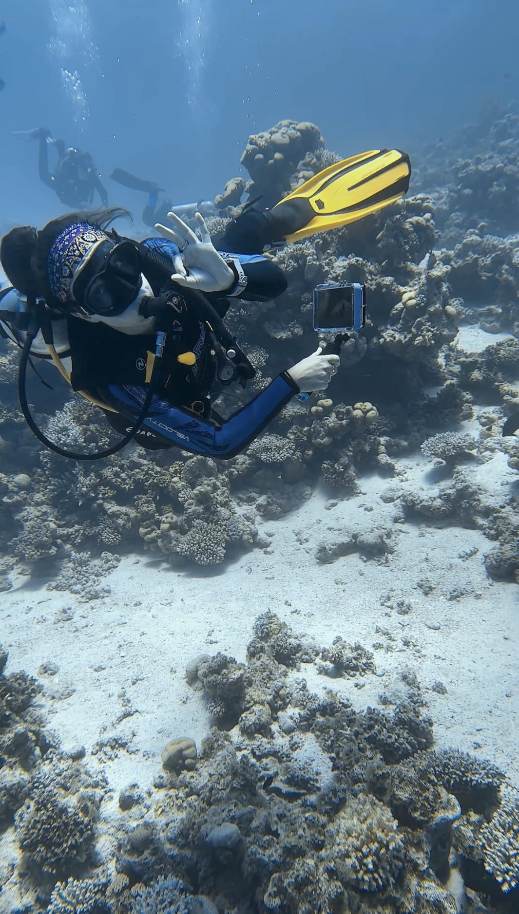 ProShot Dive 2.0 - Waterproof iPhone Housing, Rated to 130 ft, Compatible with All iPhones, Underwater Camera Case for Diving and Snorkeling (Fits All iPhones Including 17 Pro & 17 Pro Max) customer photo 2