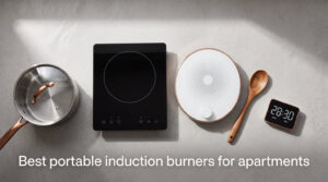 Best portable induction burners for apartments